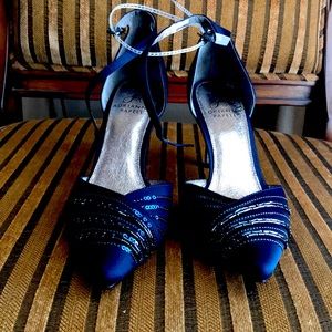 Blue Satin Pointed toe shoe